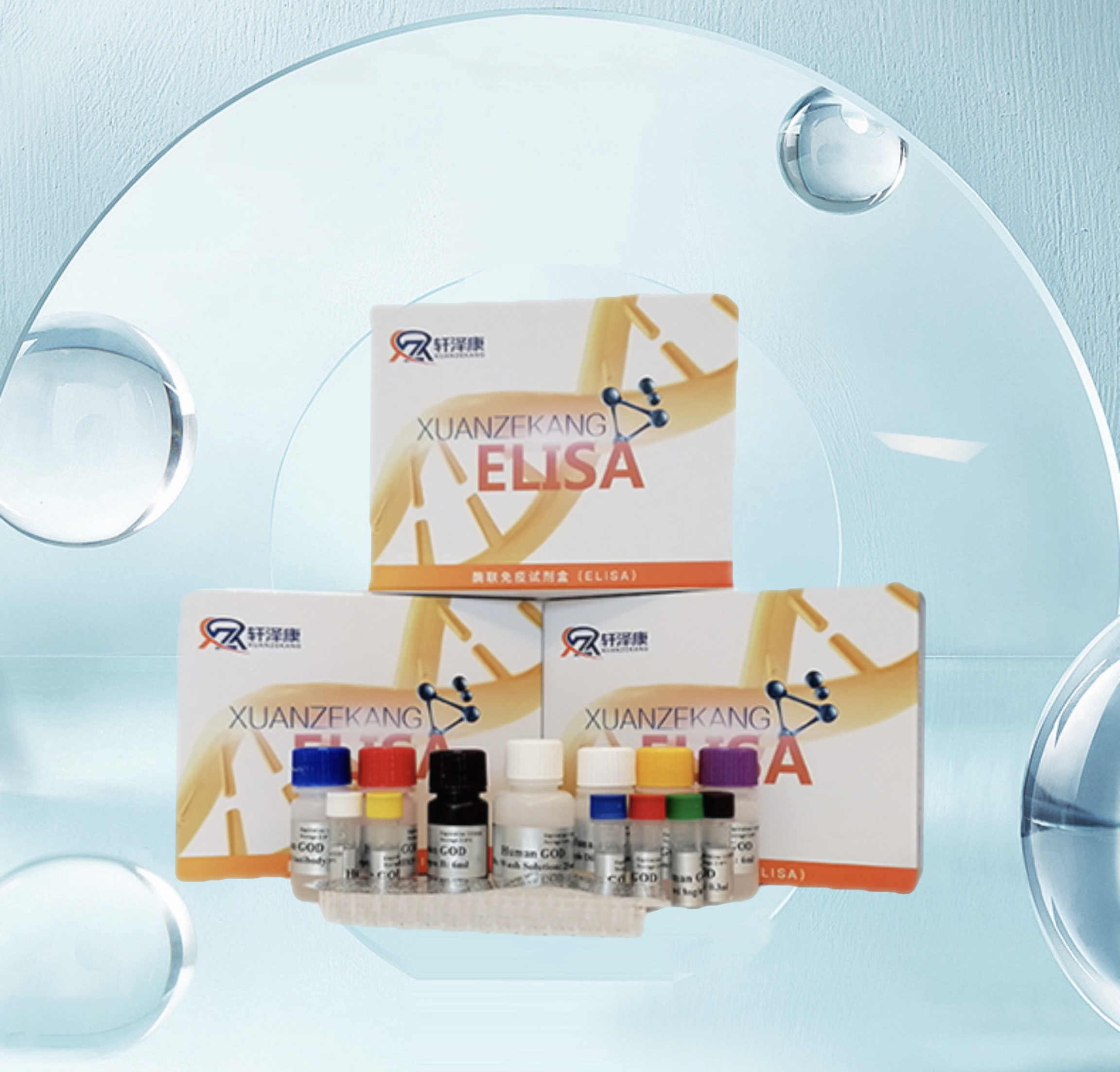 植物ACC合成酶（ACS）ELISA檢測(cè)試劑盒