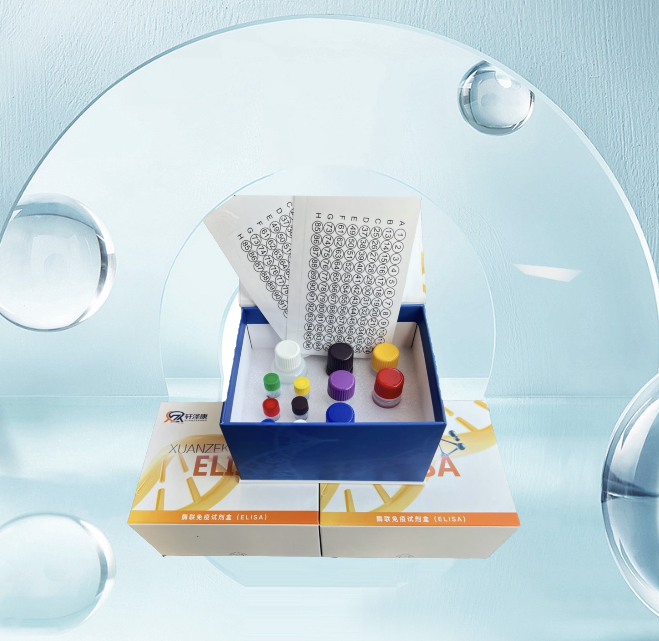 大鼠可溶性血小板內(nèi)皮細(xì)胞粘附分子1（sPECAM-1/sCD31）ELISA檢測(cè)試劑盒