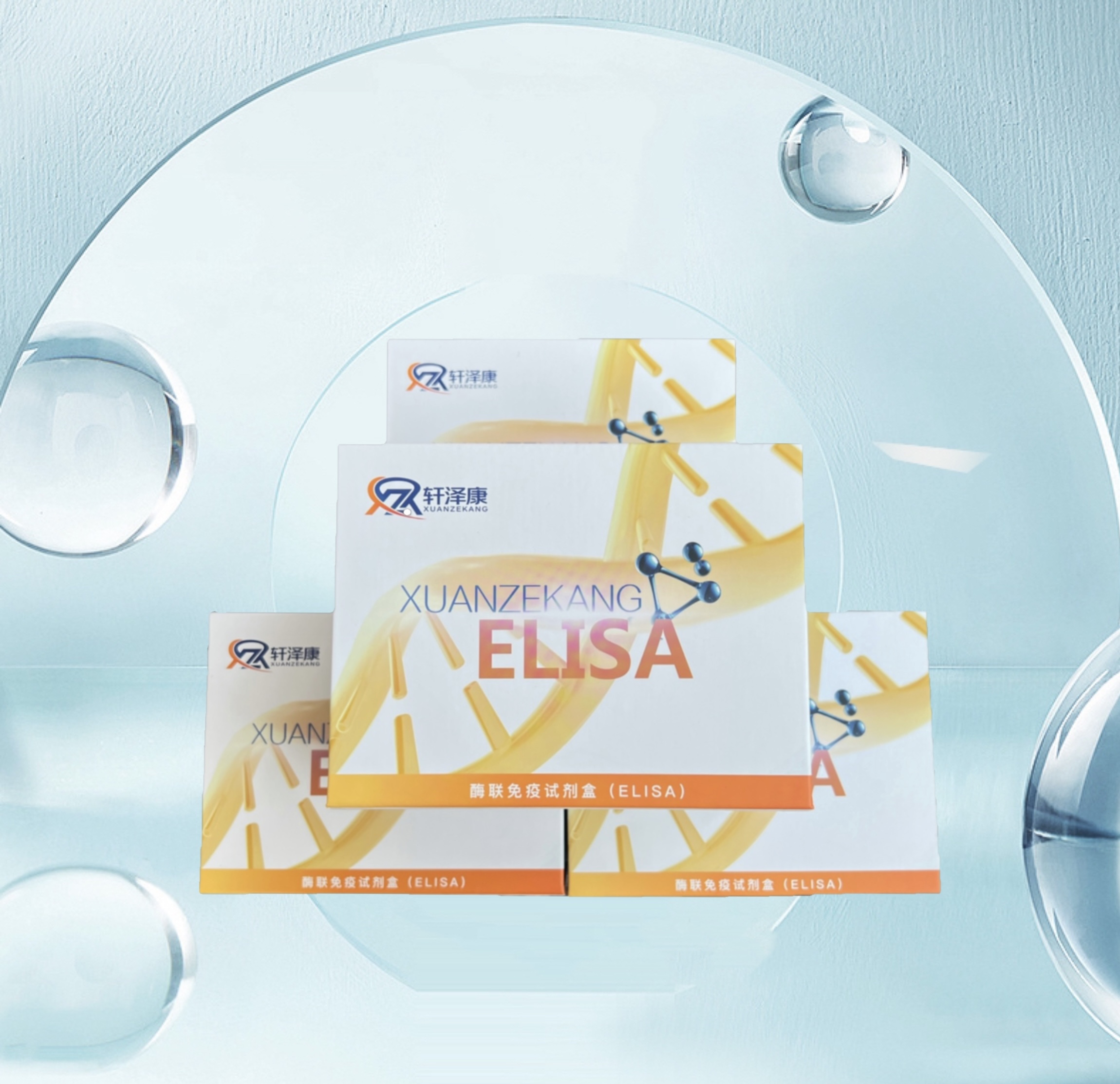 小鼠S100鈣結合蛋白A9（S100A9）ELISA檢測試劑盒
