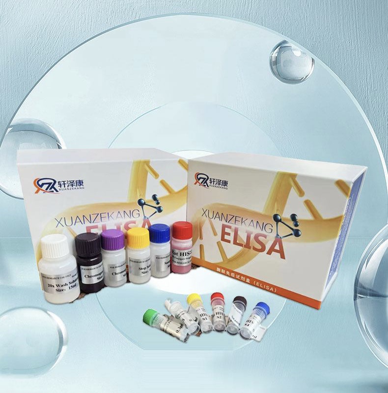 人沉默調節(jié)蛋白3（SIRT3）ELISA檢測試劑盒